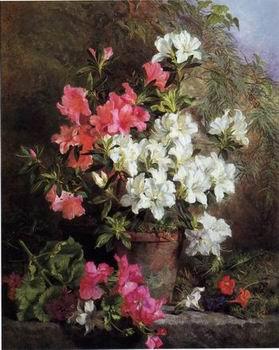 unknow artist Floral, beautiful classical still life of flowers 05 France oil painting art